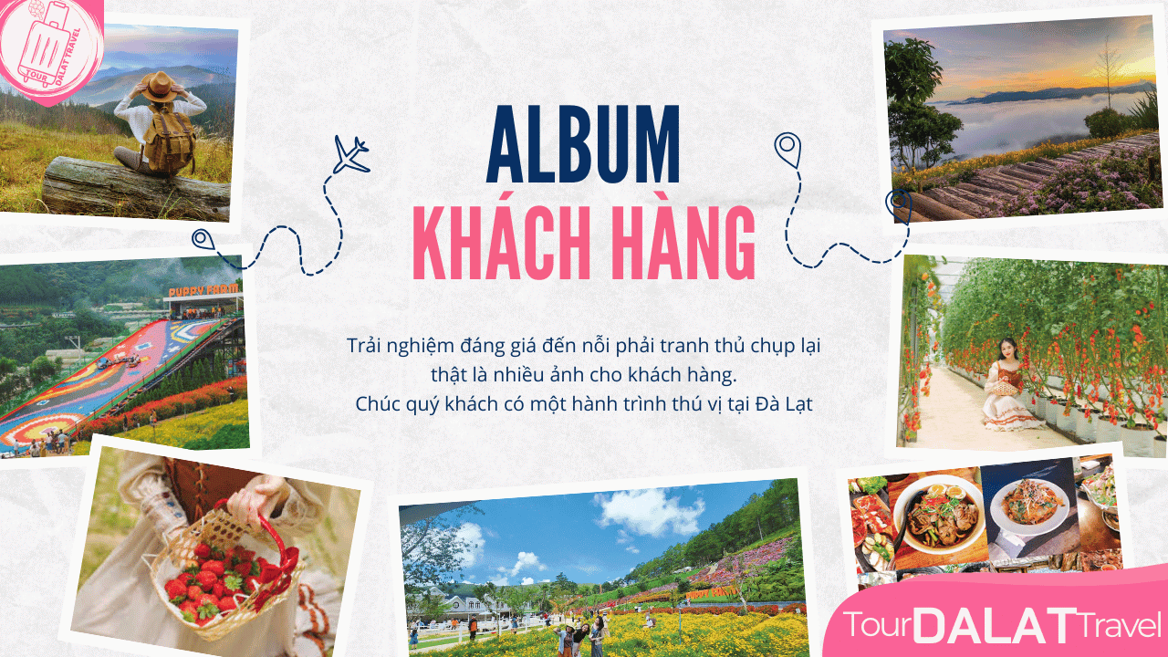Tour Đà Lạt 3 ngày 3 đêm-Album