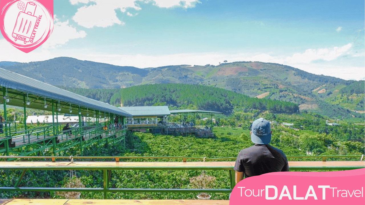 Tour Samten Hills Đà Lạt- 1 Ngày Khám Phá Chùa Đà Lạt - Ảnh 7