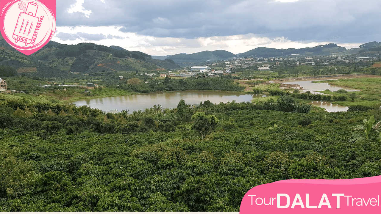Tour Samten Hills Đà Lạt- 1 Ngày Khám Phá Chùa Đà Lạt - Ảnh 6