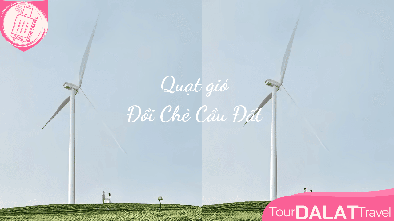 Quạt gió Đồi chè Cầu Đất