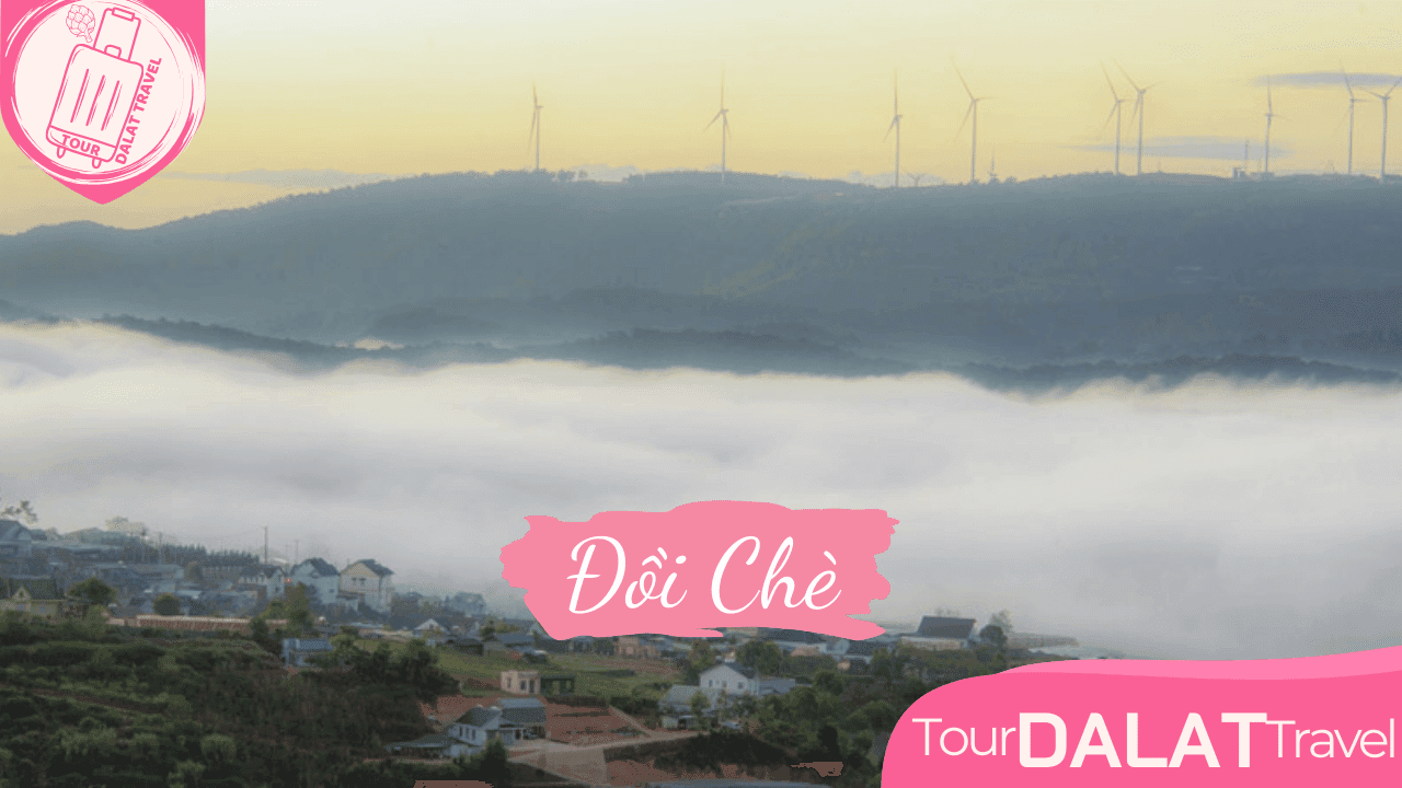 Săn Mây Đồi Chè Cầu Đất