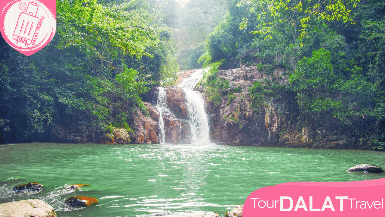 Tour Langbiang Đà Lạt ✅Tour 1 ngày mới nhất 2026 - Ảnh 2