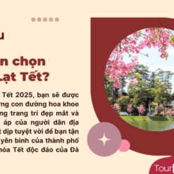 Tour Đà Lạt Tết-Giới thiệu