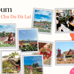 Tour 1 Ngày Chu du Đà Lạt - Album