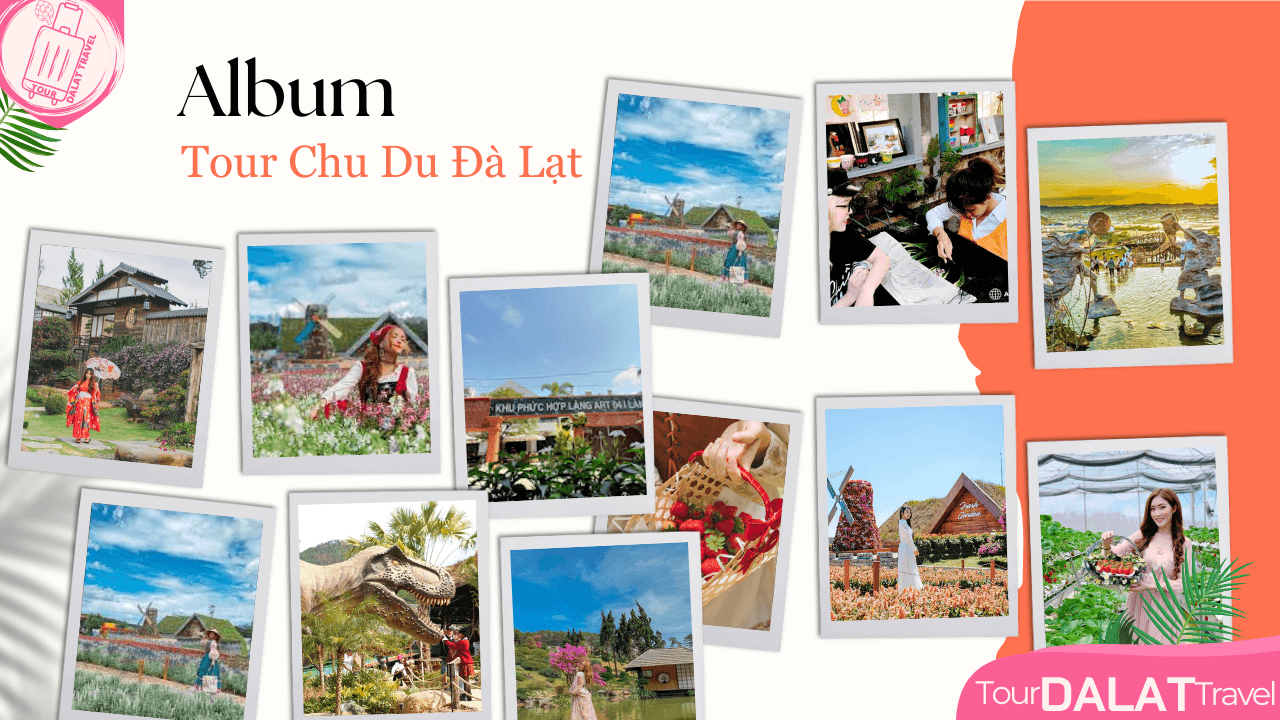 Tour 1 Ngày Chu du Đà Lạt - Album