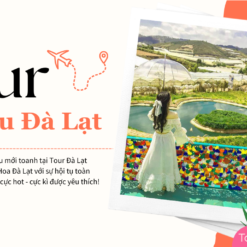 Tour Đà Lạt 1 Ngày-Chu du Đà Lạt