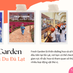 Tour Đà Lạt 1 Ngày-Fresh Garden