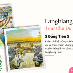 Tour Đà Lạt 1 Ngày-Langbiang Land