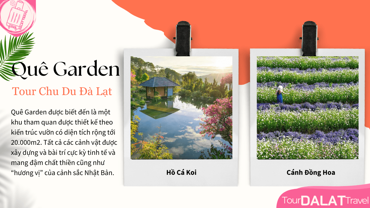 Tour Đà Lạt 1 Ngày-Quê Garden
