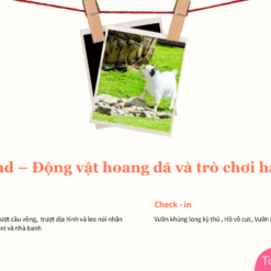Tour Đà Lạt 1 Ngày-Zooland