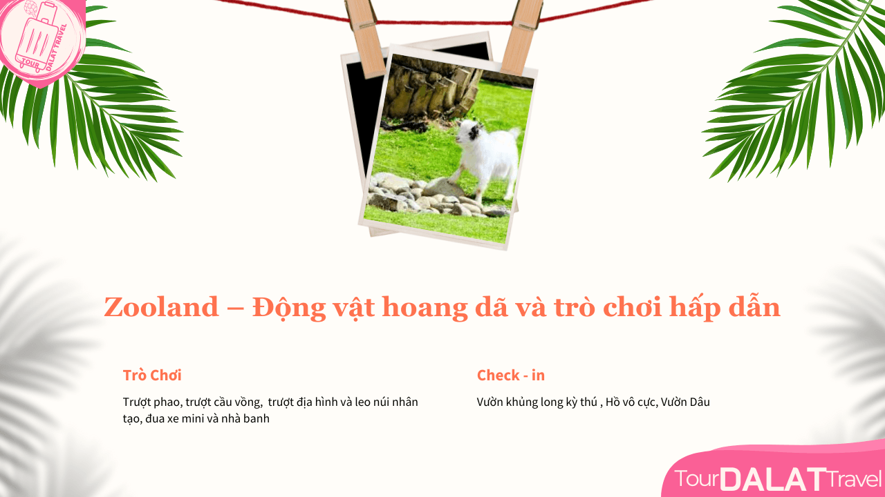 Tour Đà Lạt 1 Ngày-Zooland