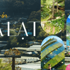 Tour Nha Trang Đà Lạt 4 Ngày 3 Đêm - Đà Lạt