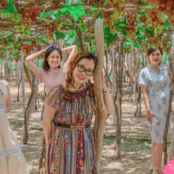 Vườn nho VĨNH HY